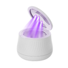 UV light sterilization effect in Skymen denture cleaner for deep sanitizing of dental appliances